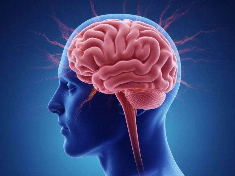À quoi sert l’oméga 3 pour le cerveau et le cœur